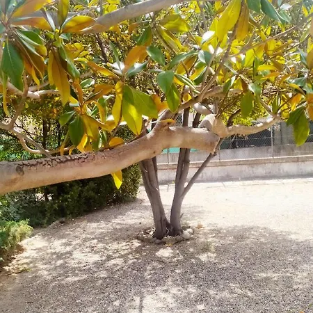 Grand Appartement 100M2 Climatise Avec Parking Perpignan דירה