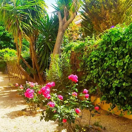 דירה Grand Appartement 100M2 Climatise Avec Parking Perpignan