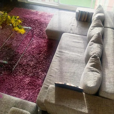 Grand Appartement 100M2 Climatise Avec Parking Perpignan דירה פרפיניין